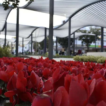 Paris Town - * Torremolinos